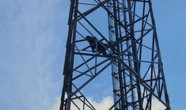 Alkolün etkisiyle çıktığı direkte sızdı