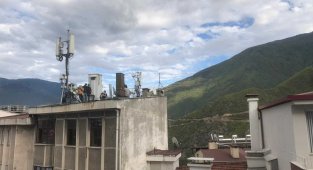 Artvin'de çatıya çıkarak intihar etmek isteyen şahsı polisler ikna etti