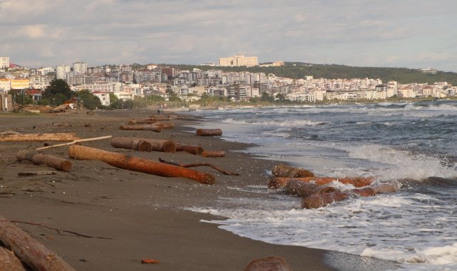 Ayancık&#039;ta sel sularının denize sürüklediği tomruklar Samsun sahillerinde