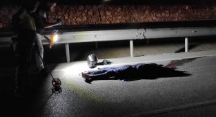 Aydın'da trafik kazası: 1 ölü