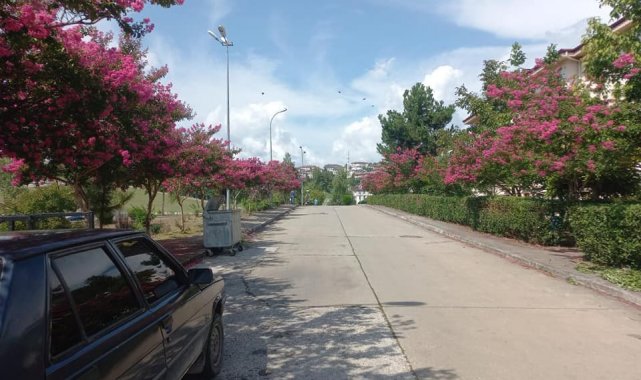 Bahçeşehir renklendi