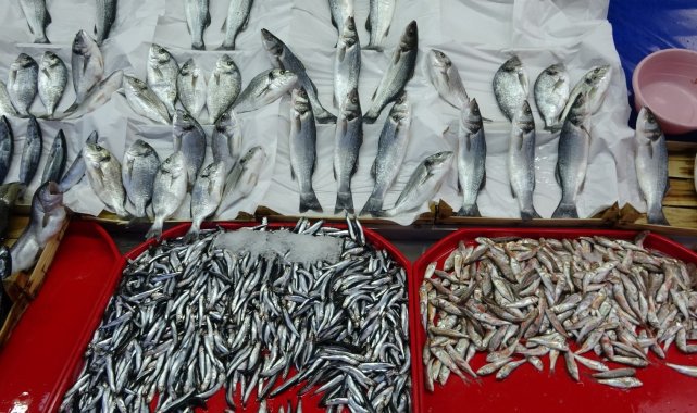 Balık tezgahlarındaki fiyatlar vatandaşları tatmin etmedi