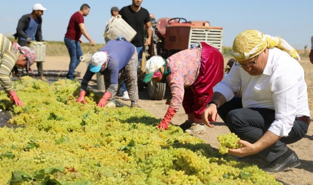 Başkan Çerçi üzüm üreticilerini ziyaret etti