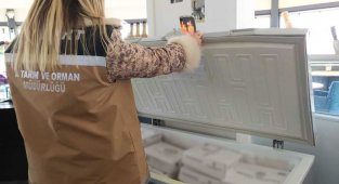 Bayburt'ta Tarım ve Orman Müdürlüğü ekiplerinden gıda denetimi