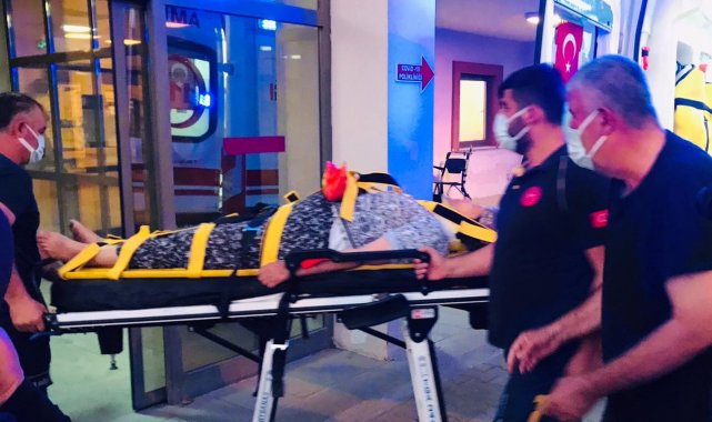 Besni&#039;de incir ağacından düşen kadın yaralandı