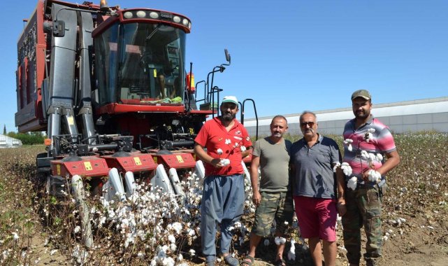 Beyaz altında hasat başladı, üretici ANTBİRLİK fiyatını bekliyor