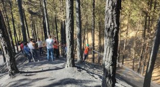 Bingöl'de çamlık alanda çıkan yangın büyümeden söndürüldü