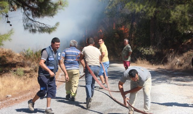 Bodrum&#039;da çıkan yangında 13 hektar alan küle döndü