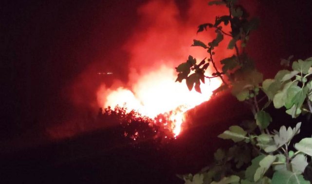 Bodrum&#039;da gece çıkan orman yangını, sabah kontrol altına alındı