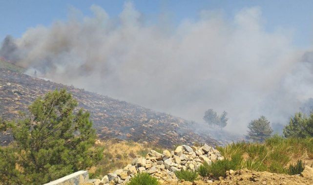 Bodrum&#039;daki yangına havadan ve karadan müdahale ediliyor