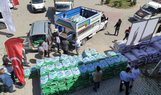Bölgede kaba yem yetiştiriciliğine DAP desteği