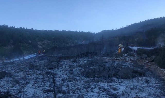 Burdur Bucak&#039;taki orman yangını kısmen kontrol altında