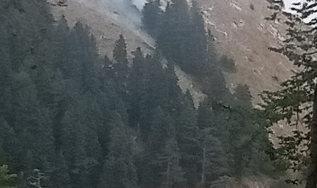 Bursa&#039;da korkutan orman yangını