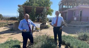 Büyükelçilerden lavanta hasadı