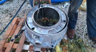 Çamaşır makinesinden ceviz kabuğu soyma makinesi