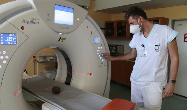 Çekya&#039;da bir köpek 14. yüzyıldan kalma hazine buldu