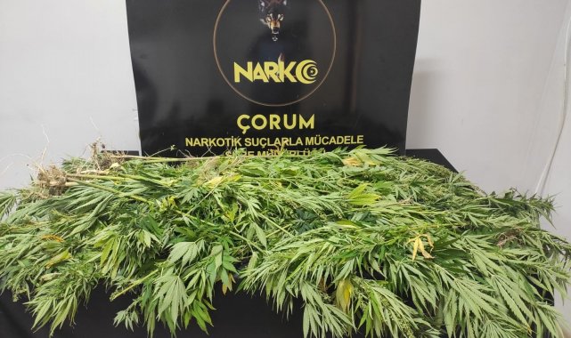 Çorum&#039;da uyuşturucu operasyonu