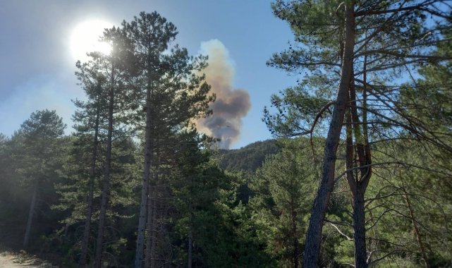 Denizli&#039;deki orman yangını söndürüldü