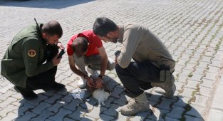 Diyadin'de bulunan yaralı tavşan tedavi altına alındı
