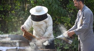 Dünyanın ağzının tadı Bursa'dan