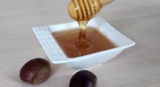 Düzce kestane balı coğrafi işaret tescilini aldı