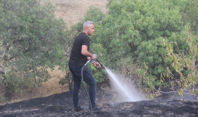 Elazığ&#039;da bahçe yangınında 20 dönüm alan zarar gördü