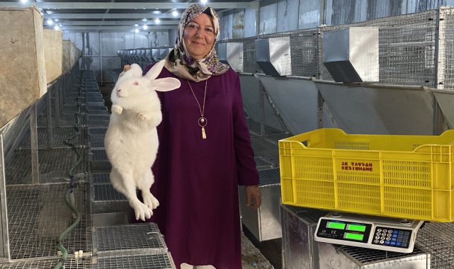 Emekli kadın polis hobi olarak başladığı tavşan üretiminde devlet desteğiyle büyüdü