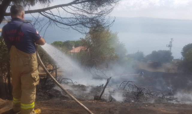 Erdek&#039;te arazi yangını