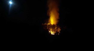 Fethiye'de orman yangını