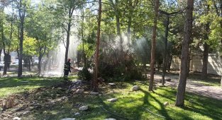 Freni boşalan hafriyat kamyonu parka daldı