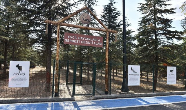 Gazi Park, yemyeşil doğası ve etkinlik alanlarıyla başkentlileri bekliyor