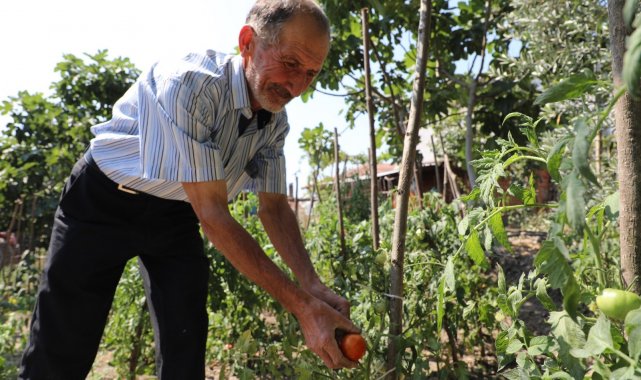 Gemlik&#039;te organik tarım meyvelerini verdi