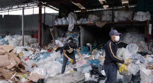 Güngören'de her bina 5 ağacı kesilmekten kurtardı