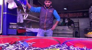 Hamsinin fiyatı düşmeye devam ediyor