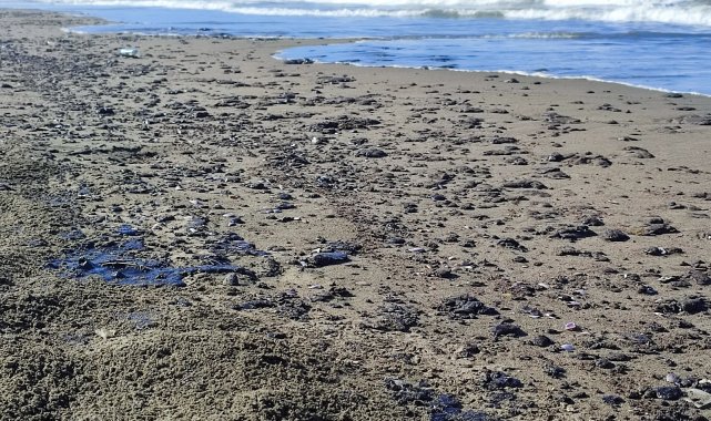 Hatay Samandağ sahilinde petrol sızıntısı temizliği 9. gün de devam ediyor