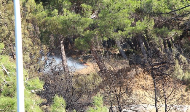 Hatay&#039;da çıkan orman yangını kontrol altına alındı