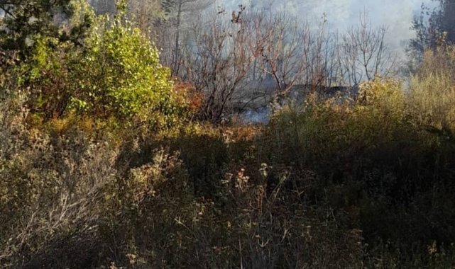 Hatay&#039;da ikinci orman yangını
