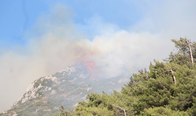 Hatay&#039;da orman yangını