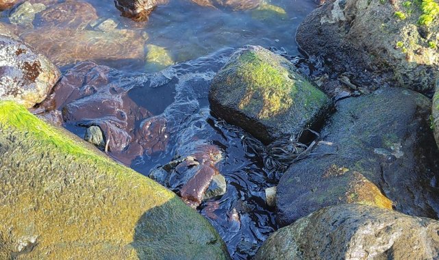 Hatay&#039;da sahile vuran petrol atıklarına rağmen denizde yüzdüler