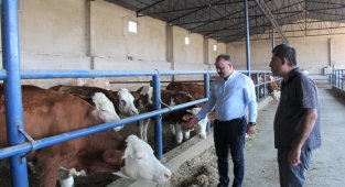Hayvancılık işletmesi ziyaret edilerek incelendi