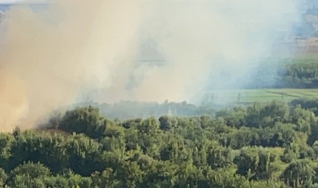 Hevsel Bahçeleri&#039;nde korkutan yangın