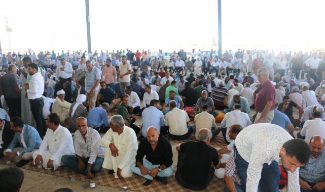 İki aşiret arasında taşlı sopalı kavga ile başlayan husumet sonlandırıldı