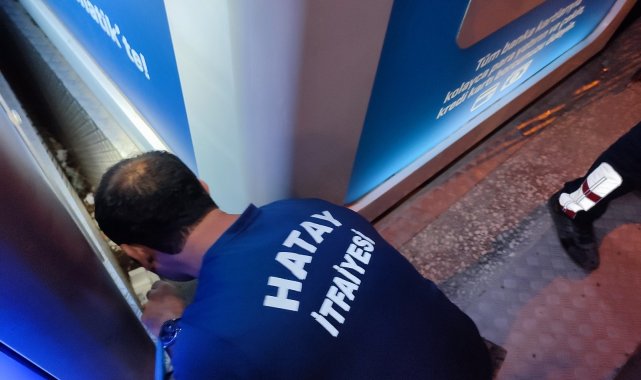 İki yavru kedi mahsur kaldığı yerden kurtarıldı