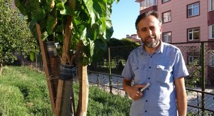 İmam 20 yıldır doğada gördüğü meyve ağaçlarını aşılıyor