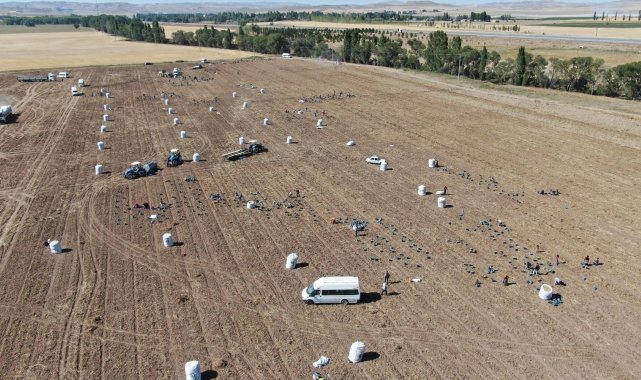 İşçilerin karınca gibi çalışması havadan görüntülendi
