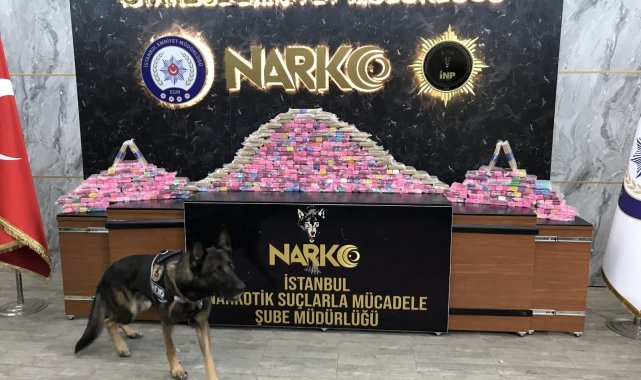 İstanbul polisinden 7 kentte çok yönlü operasyon