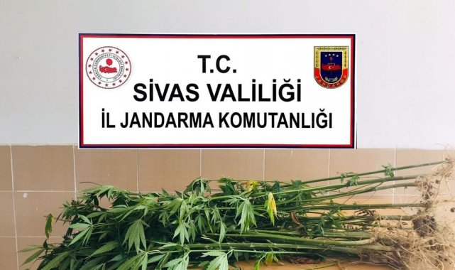 Jandarmadan büyük operasyon, onlarca olay aydınlatıldı