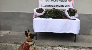 Jandarmanın uyuşturucu operasyonunda 2 şüpheli tutuklandı