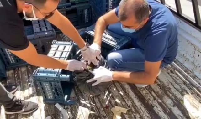 Kamyonetin kasasından 958 gram esrar çıktı, 2 şüpheli gözaltına alındı