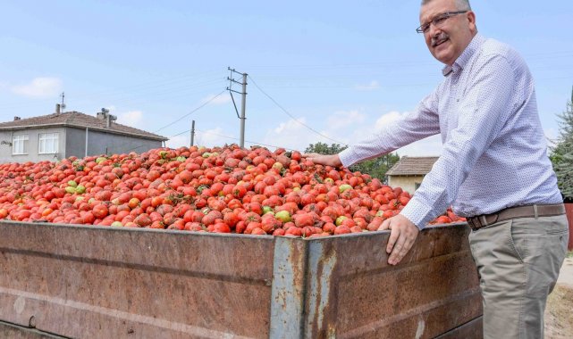 Karacabey&#039;in &quot;kırmızı elmas&quot;ına talep çok
